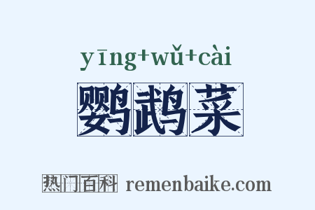鹦鹉菜是什么意思的图片